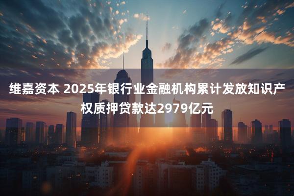 维嘉资本 2025年银行业金融机构累计发放知识产权质押贷款达2979亿元