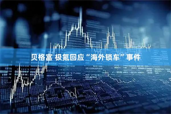 贝格富 极氪回应“海外锁车”事件